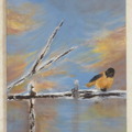 Bird Janv18