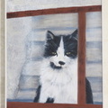 Cati 1172