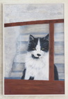 Cati 1172