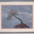 PrunusMume 3470