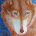 chientraineau 2021