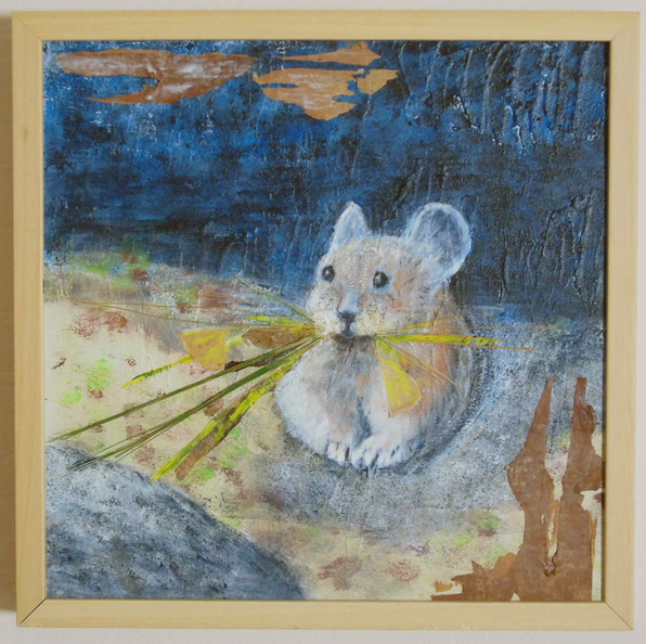 souriceauecorces40x40.jpg
