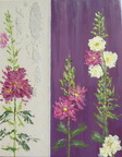 RosesTrem6162