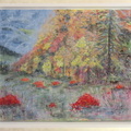 CotinusAutomne