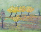 MuriersStAndre (5213 visites) MuriersStAndre