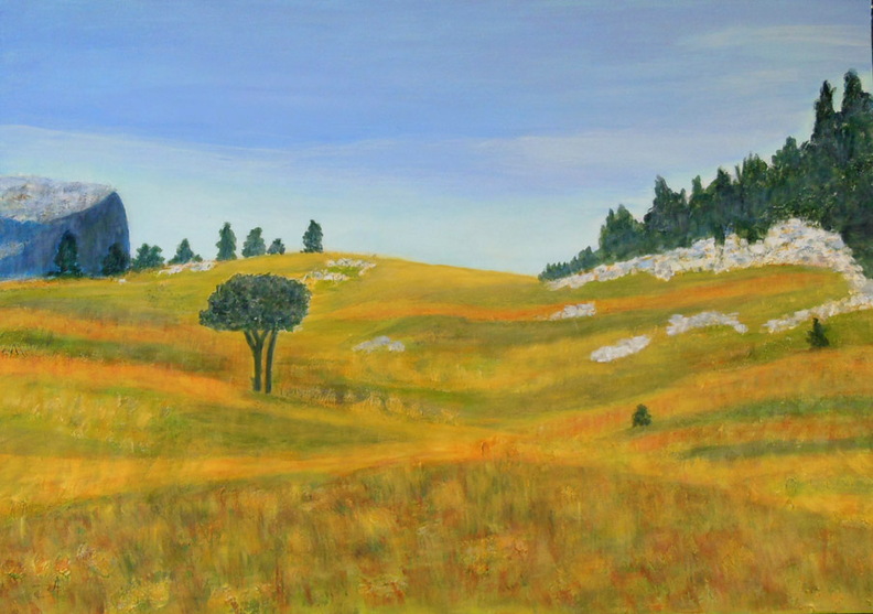 arbretaille70x50at.jpg