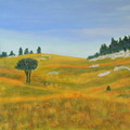 arbretailléVercors