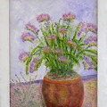 Freesias Mai26 