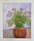 Freesias Mai26 