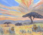 Savane 2026 
